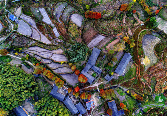 有一种美叫“黄柏山的秋天”