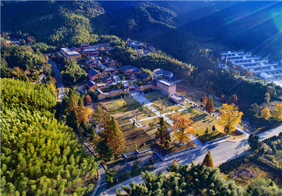 有一种美叫“黄柏山的秋天”