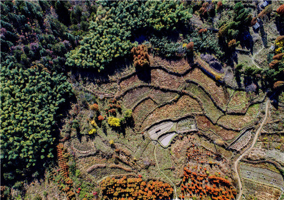 有一种美叫“黄柏山的秋天”