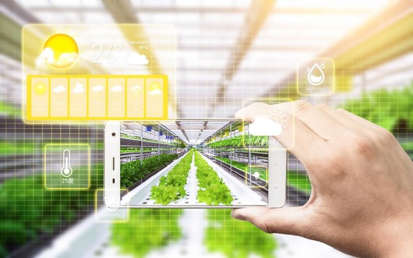 奏响乡村振兴新乐章，朗新能源数字化为宁夏农业添动力