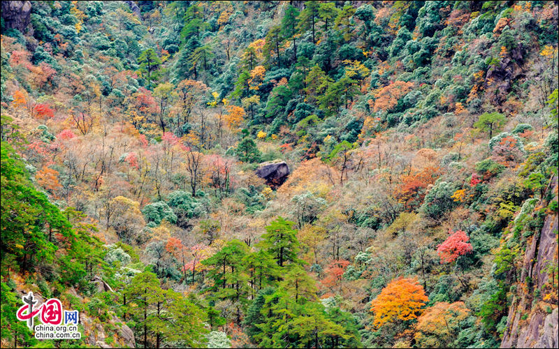 深秋黄山：一幅浓墨重彩的欧式油画