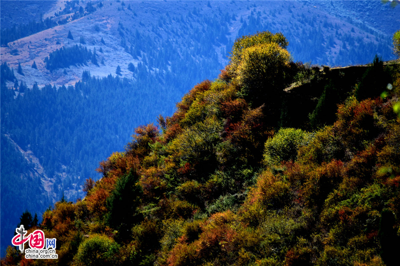 康巴新龙美景天成 皮察七彩沟风光惹人醉