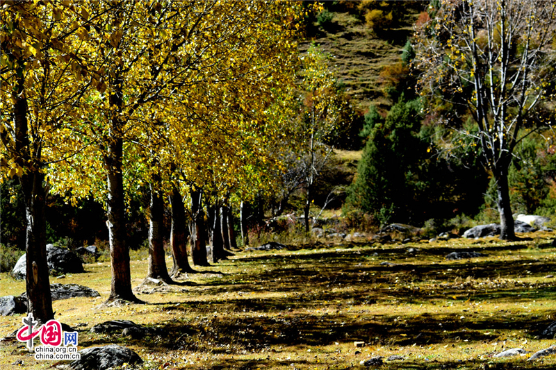 康巴新龙美景天成 皮察七彩沟风光惹人醉
