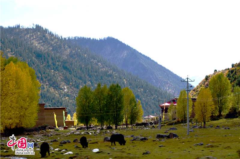 康巴新龙美景天成 皮察七彩沟风光惹人醉