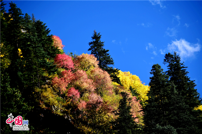 康巴新龙美景天成 皮察七彩沟风光惹人醉