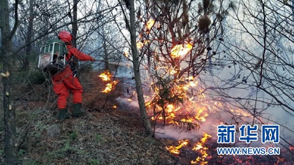 雲南玉溪市澄江縣發生森林火情 已蔓延至昆明市呈貢區