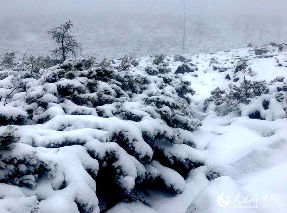 “中国最冷小镇”大兴安岭呼中初夏降大雪