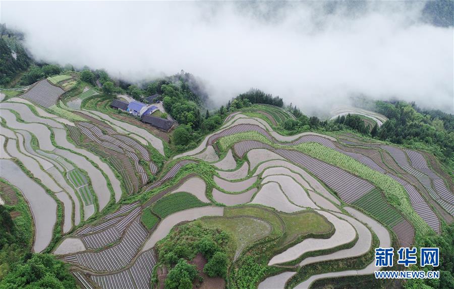张家界：“云上田园”美如画