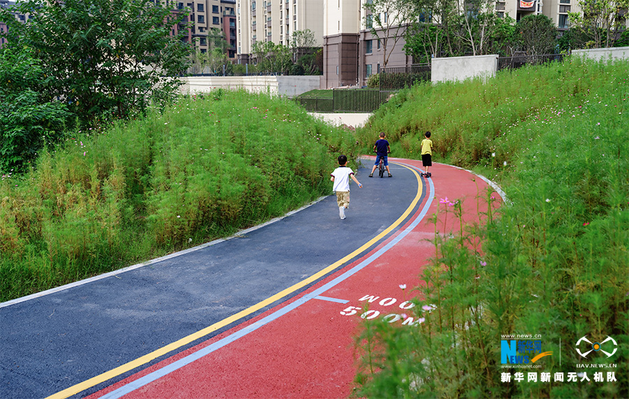 【城市远洋】山城步道“上新”