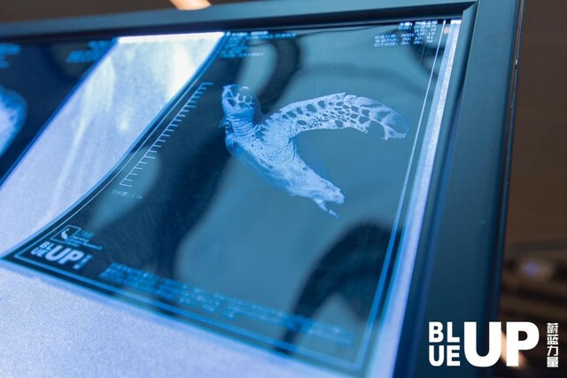 图片默认标题_fororder_6