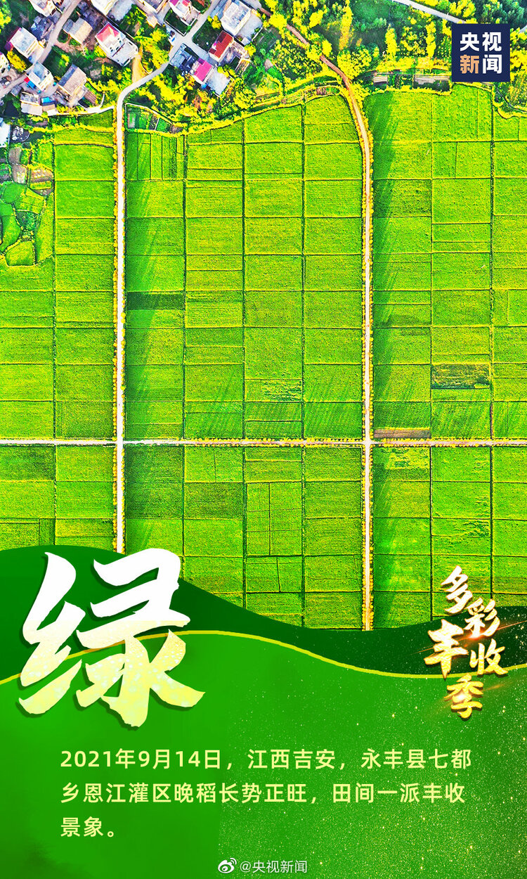 一起慶豐收！9圖看中國多彩豐收季