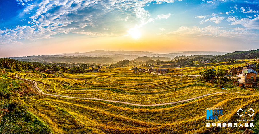 重庆：朝霞里的金黄“波浪”