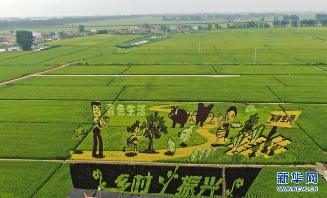 Lukisan Sawah Padi_fororder_1127768943_16291833893631n