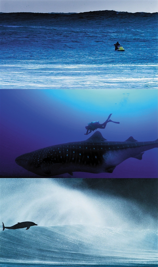 《蓝色星球2》:深入前所未见的海底世界