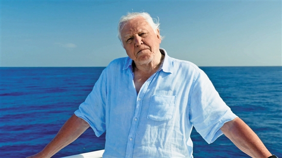 《蓝色星球2》:深入前所未见的海底世界