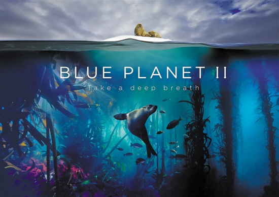 《蓝色星球2》:深入前所未见的海底世界