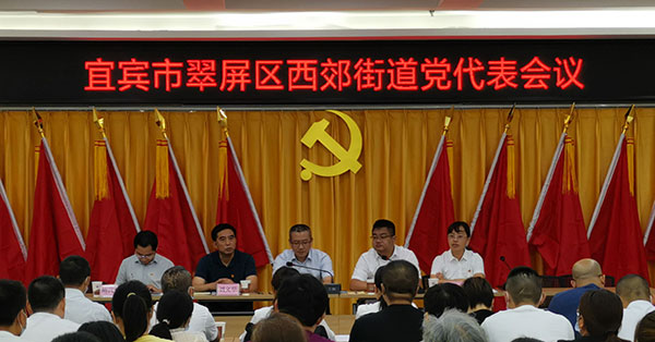 宜宾市翠屏区西郊街道党代表会议顺利召开_fororder_会议现场--摄影---蒲燕慧