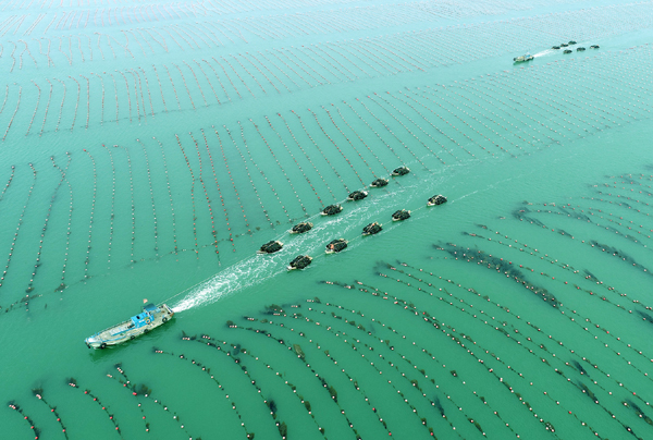 Ika-4 na Pestibal ng Pag-ani ng mga Magsasakang Tsino, dumating na; Pahiyas Festival sa Lucban, probinsyang Quezon_fororder_20210923Ani5600