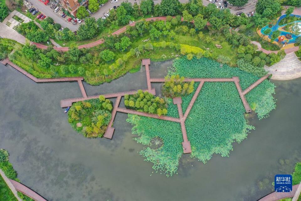 【城市遠洋帶圖】重慶南岸：苦竹溪生態修復顯成效