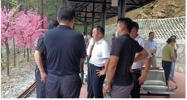 湖南岳阳：平江县政协主席洪志凡率队视察文旅融合工作情况_fororder_20210907101112473