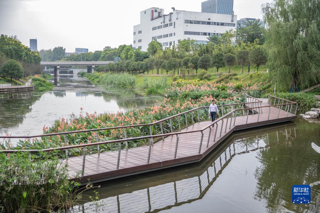 【城市遠洋帶圖】重慶南岸：苦竹溪生態修復顯成效