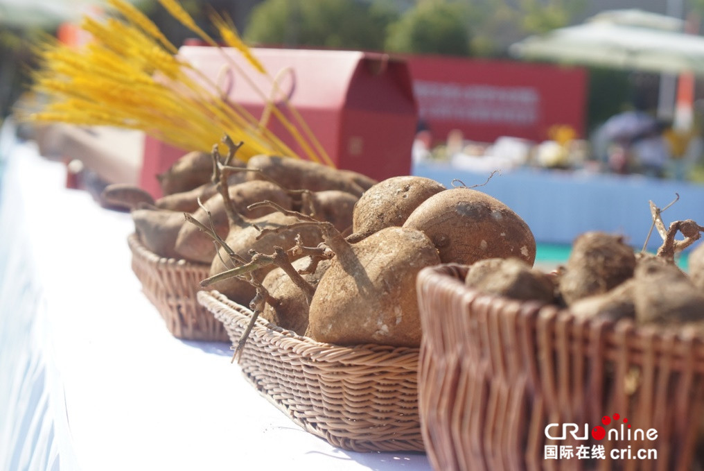 中国农民丰收节湖南主场庆祝活动 各色农产品令人目不暇接