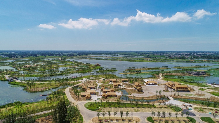 揚州北湖濕地公園：雲天滄滄 秋水泱泱