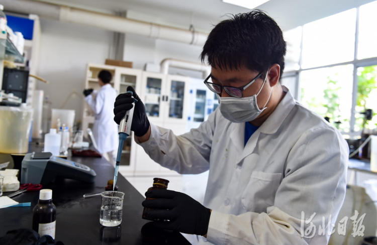 河北石家庄：多措并举打造人才集聚“强磁场”
