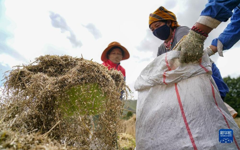 ल्हासा उपत्यकामा शरद बाली भित्र्याइँदै_fororder_22