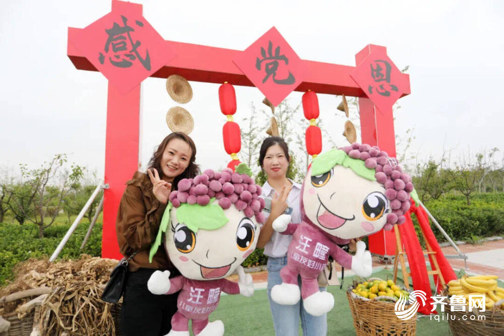 高质量发展看临港｜欢唱秋收喜 品味葡香甜