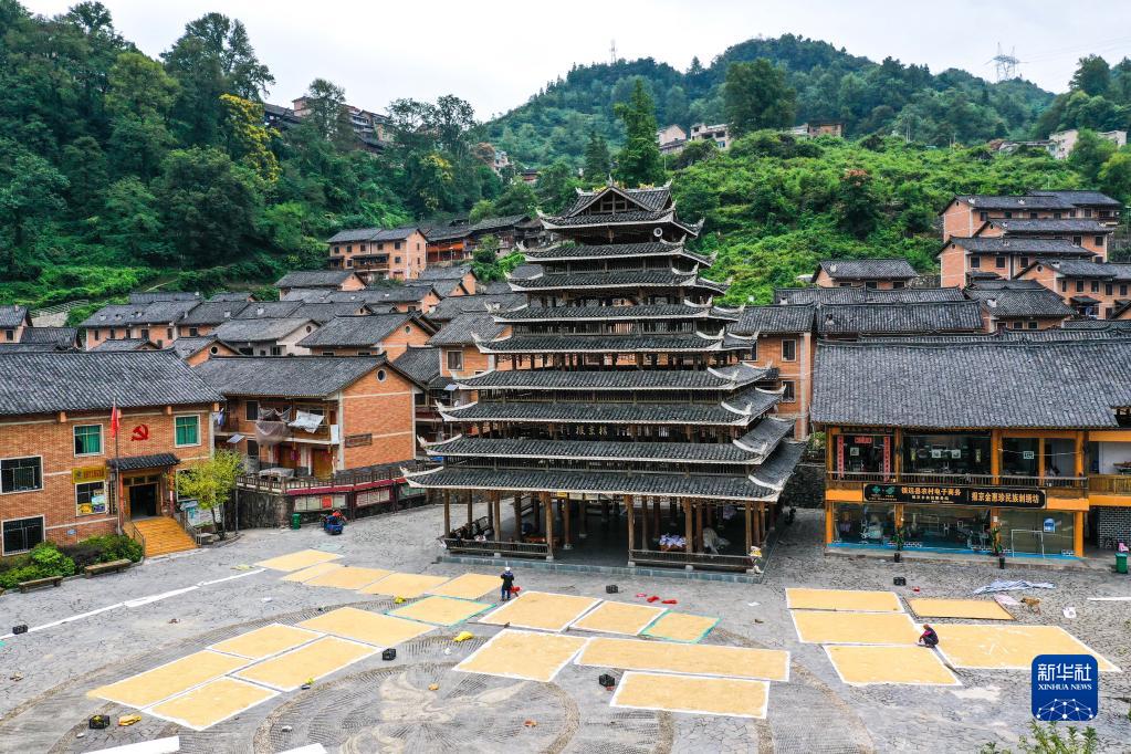 （中首）贵州镇远：报京侗寨秋色美