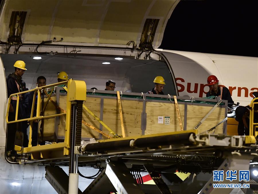 青藏高原首次进口瓶鼻海豚