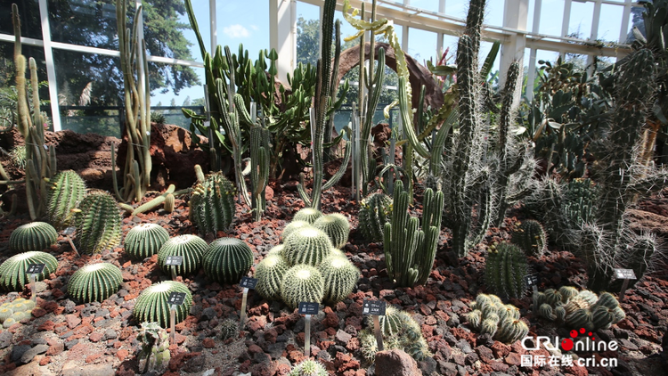 “植物王国”彩云之南——多彩昆明植物园_fororder_image_202109132032 (1)