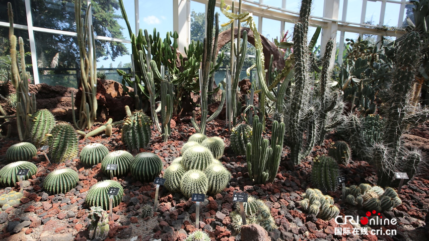 水生植物园等16个专类园,充分展示了在素有"植物王国"之称的云南丰富