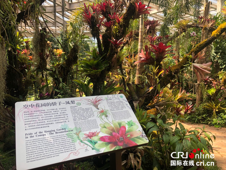 图片默认标题_fororder_鐑甫闆ㄦ灄鐗硅壊鏅鈥斺€斿嚖姊ㄧ妞嶇墿