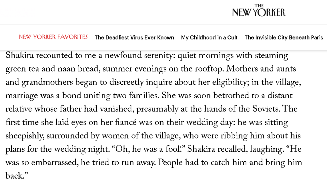 这篇关于阿富汗和塔利班的文章，太绝了！