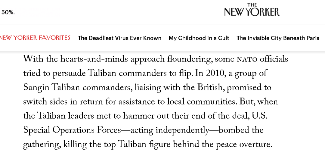 这篇关于阿富汗和塔利班的文章，太绝了！