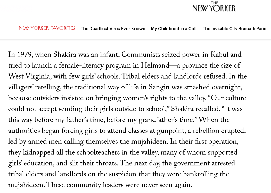 这篇关于阿富汗和塔利班的文章，太绝了！