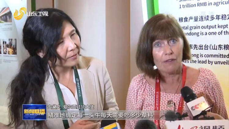 国际粮食减损大会搭建平台 多国驻华大使期待与山东有更多合作