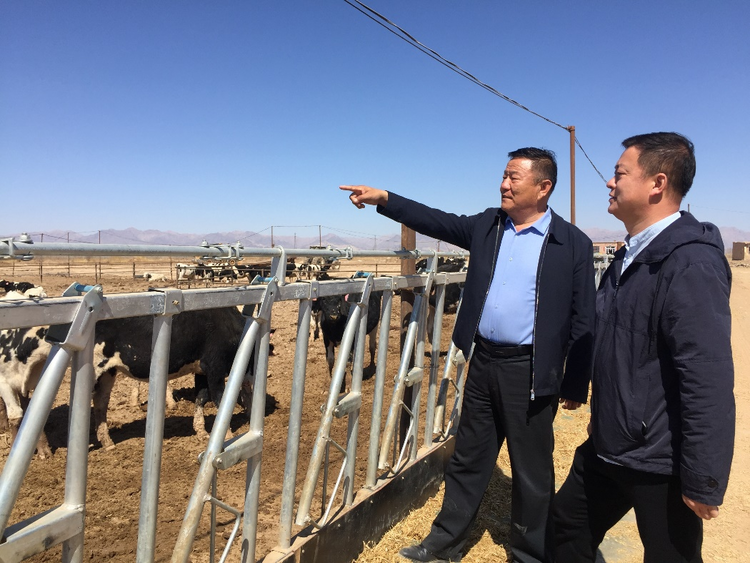 “众筹模式”的大型牧场 让村民实现了共同富裕_fororder_图片6