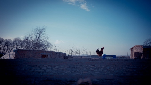 我来告诉你一个真实的东北农村 房子建成这样(图)