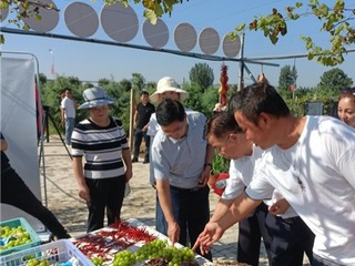 平頂山高新區舉辦中國農民豐收節系列活動
