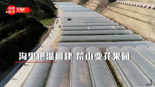 습근평 주석, 섬서성(陝西省) 수덕현(綏德縣)학가교촌(郝家橋村)을 방문_fororder_2