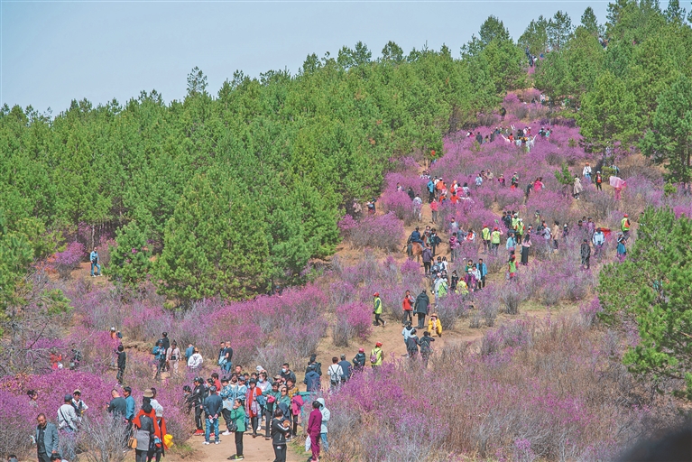 從“黑色”煤城轉向“彩色”旅遊之地 探究雙鴨山“ 多彩 ”之變