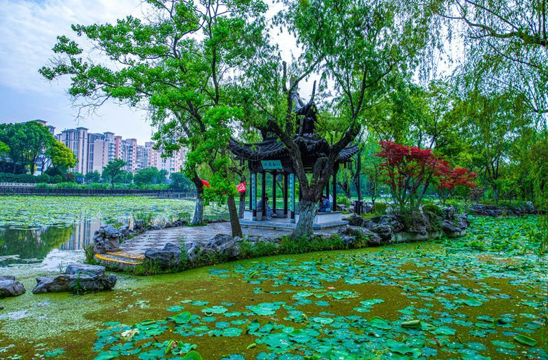 揚州:小亭秋色滿 盡顯古韻美