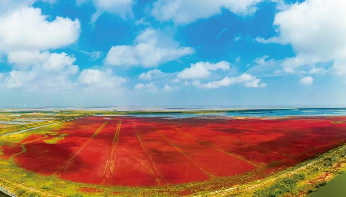 鹽城：綠色賦能 奮力開闢向海發展新境界