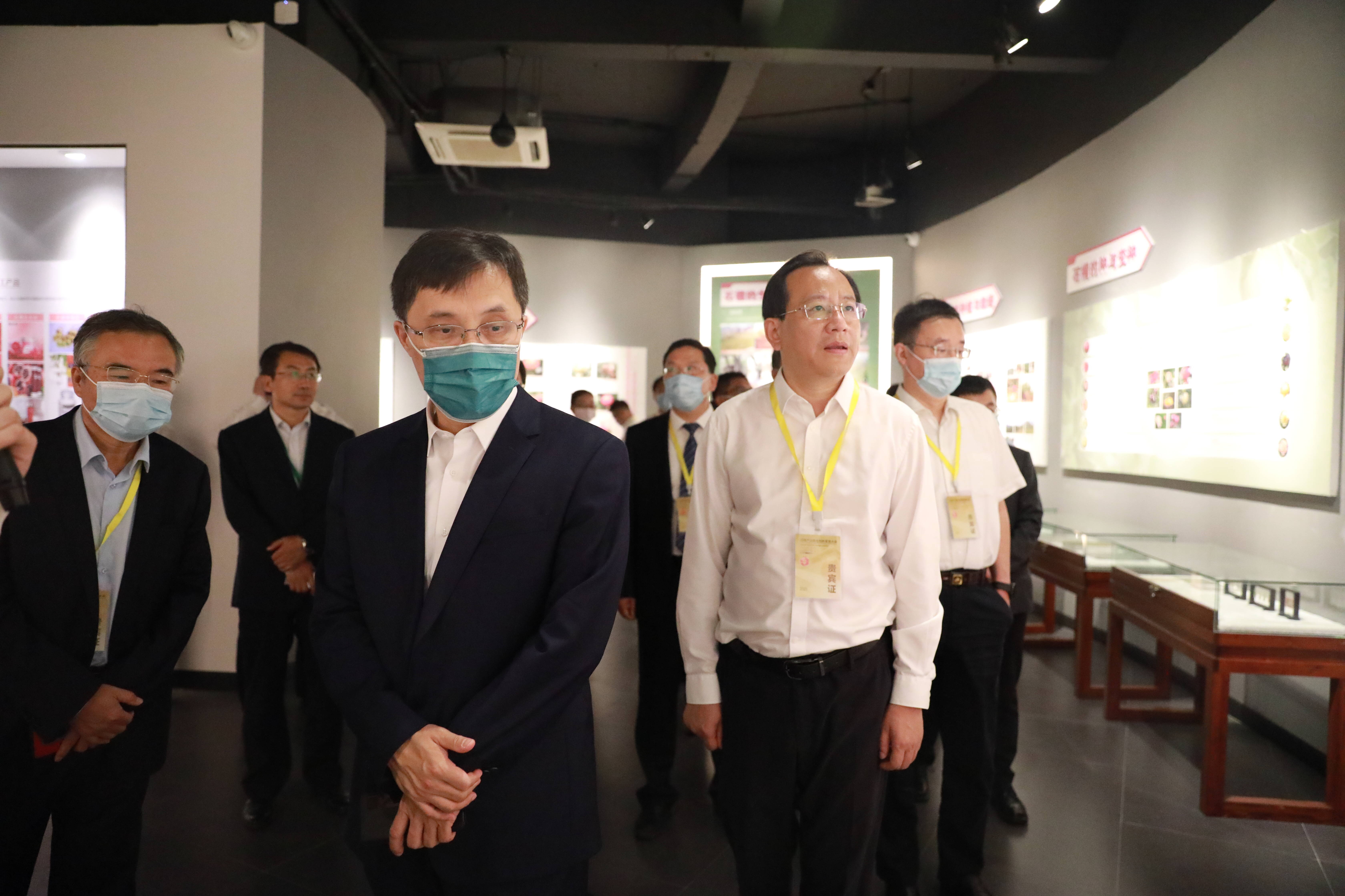 2021石榴产业融合创新发展大会在枣庄峄城举办