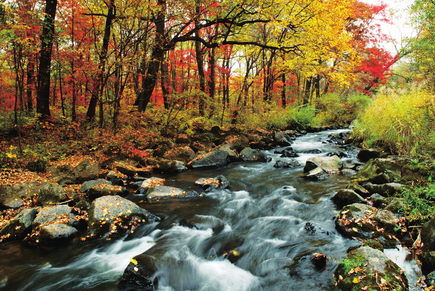 国庆长假游吉林辉南 品醉美秋色