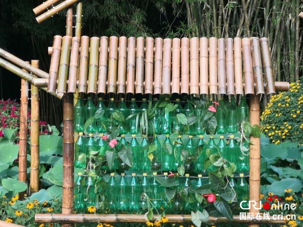 竹荷风韵 吹满绿城  ——首届竹荷文化节在南宁狮山公园举行