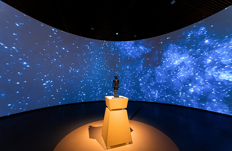 成都博物馆：三百余文物典藏尽显中国传统医学之魅力_fororder_展览厅-供图-成都博物馆